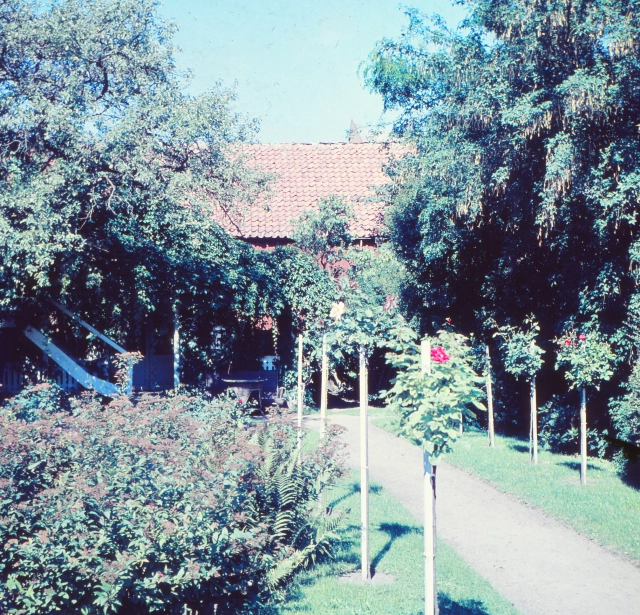 TRÄDGÅRDEN
